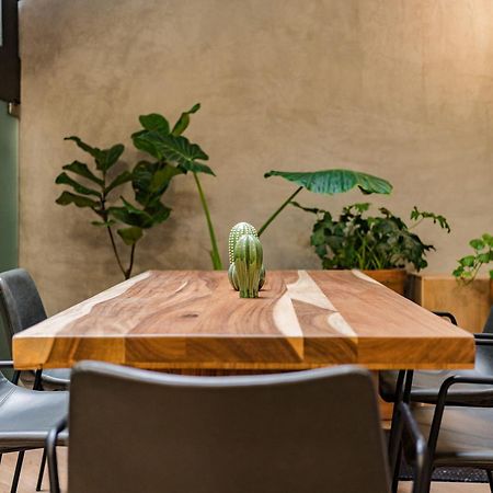 Escandon Suites By Escajal Rooms Mexico By Eksteriør billede